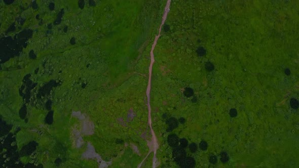 Aerial View of Carpathian Mountains rage, view from above on the forest and hiking trail