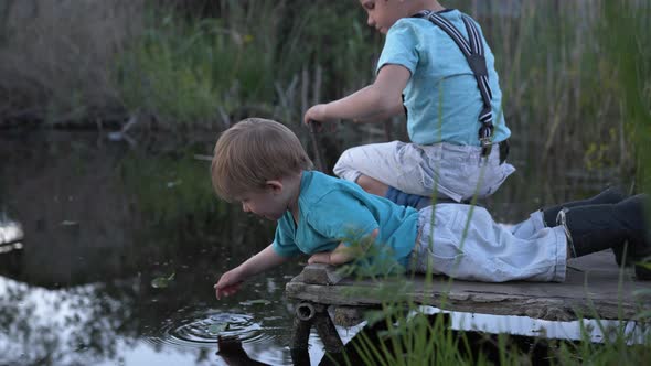 Outdoor Activities, Cute Boys Brothers Have Fun on Pier Near River and Play in Water with Leaves