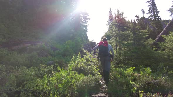 Hiking in Alpine Mountains Big Interior Mountain Vancouver Island