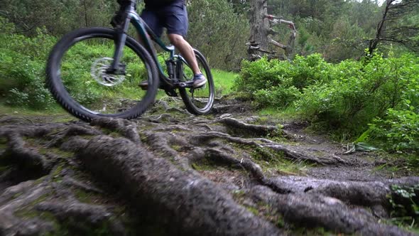 A mountain biker rides on a singletrack trail in the rain