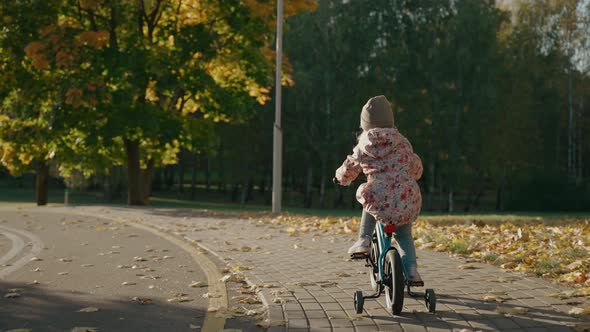 Little Girl Rides a Tricycle Bike in the Park at Sunset in Sunny Autumn