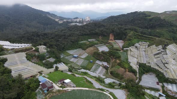 Cameron Highlands, Pahang Malaysia