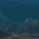 Underwater Treasure Chest Loopabel Background 4K - VideoHive Item for Sale