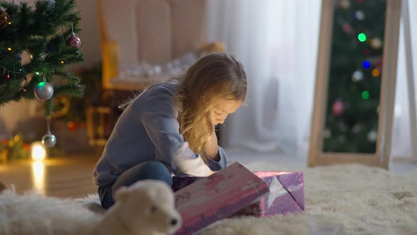 Wide Shot Excited Caucasian Little Girl Sitting in Living Room with Gift Box Admiring Present