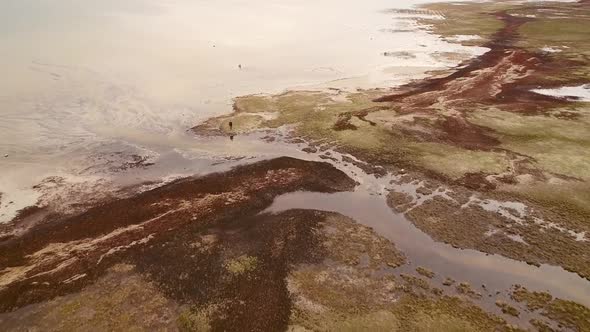 Aerial view of person staying at seaside in algae bloom on the island of Vormsi in Estonia.