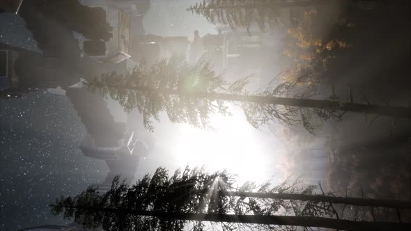 UFO Hovering Over a Forest at Night with Light Beam