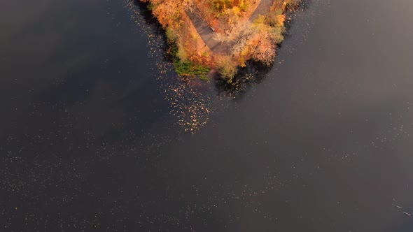 Aerial top down view of autumn forest with green and yellow trees. Mixed deciduous and coniferous fo