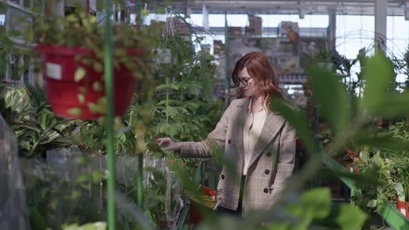 Female Shopper in Glasses for Vision Chooses Decorative Flowers for Design of Home or Office in