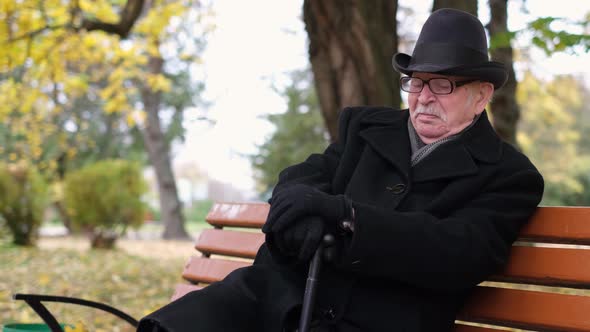 Senior Lonely Grandfather Sitting on a Bench with a Stick in the Autumn City Park