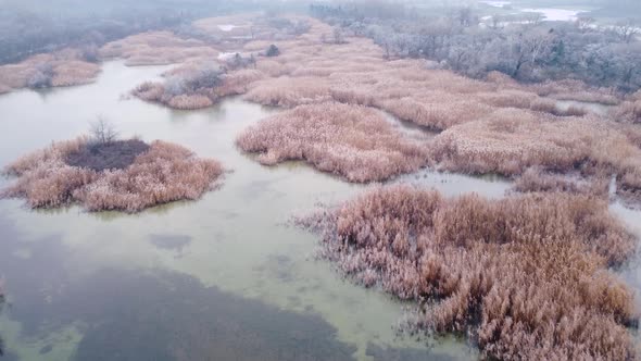 Frozen Lake And Islands With Plants