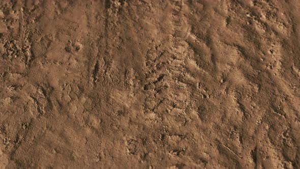 Wheel Tracks Rough Road alt