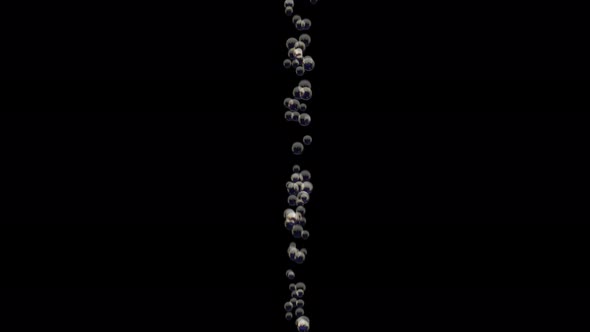 Transparent Bubbles Go Up Underwater Over Black Background alt