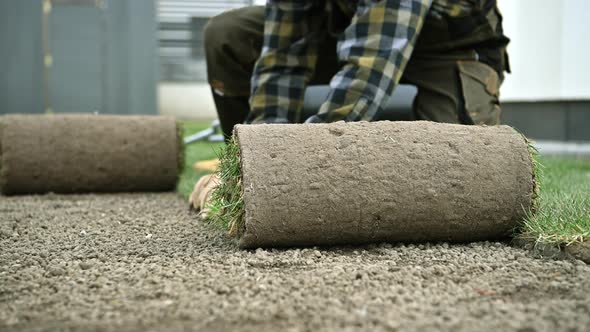 Rolls of Natural Grass Turfs Prepared For a Backyard Garden Installation