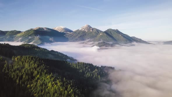 Misty Mountains Nature