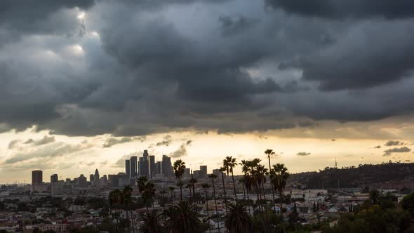 Downtown Los Angeles Dark Clouds with Palm Trees