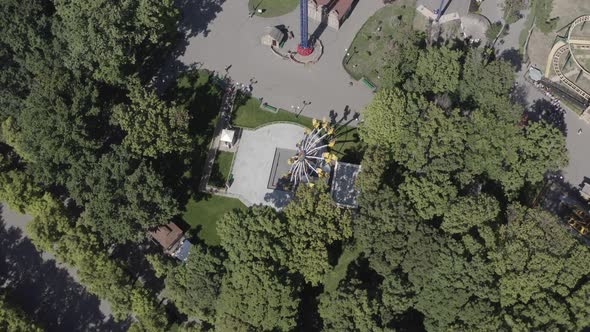 Top View of Gorky Central Park in Kharkov, Ukraine, Lined with Many Trees with Various Exciting