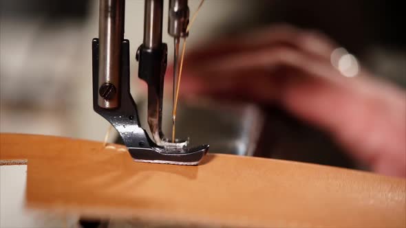 Close-up of Working Sewing Machine, Needle and Foot Are Making Stitches