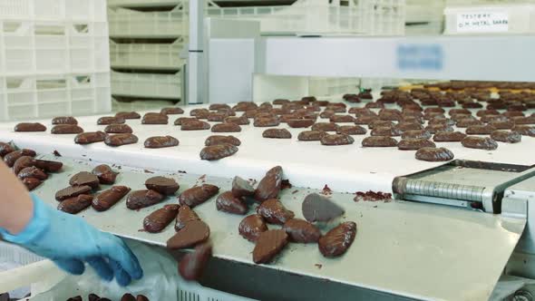 Bunch of Yummy Chocolate Sweets Lying on Conveyor Belt on Confectionery Factory. Candy Factory.