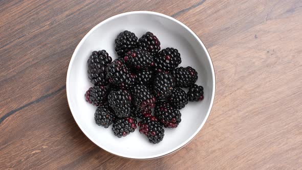 Blackberries 05