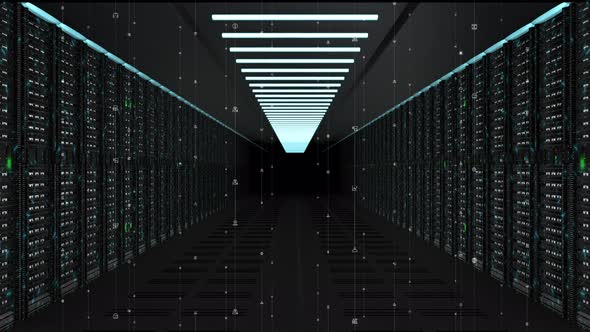 Digital Data Network Servers