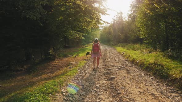 Hiking Through a Mountain Forest on a Rocky Road