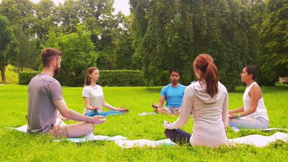 Group of People Doing Yoga at Summer Park