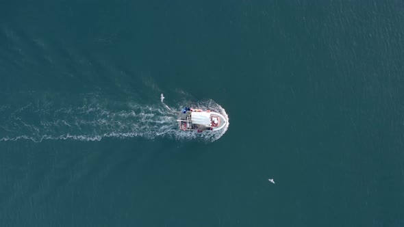 Fishing Vessel Flocked by Seagulls at Sea Bird's Eye View