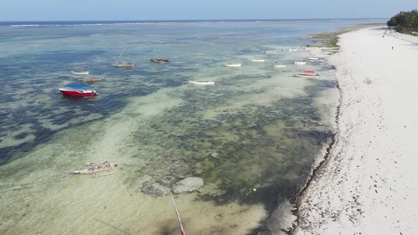 Low Tide in the Ocean Near the Coast of Zanzibar Island Tanzania