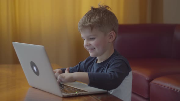 Blonde preschool boy typing on laptop and smiling looking at computer screen
