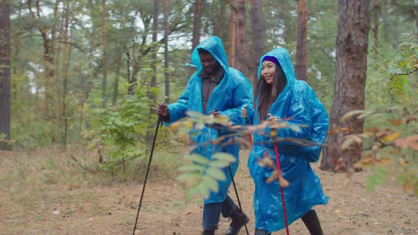 Two Hikers in Raincoats Backpacking in Rainy Wood