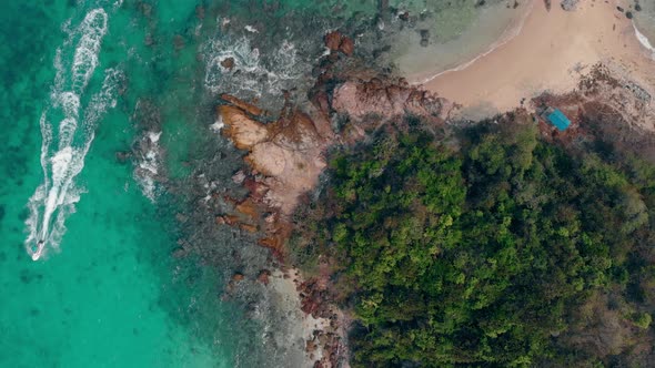 Green Forest at Rocks and Sand Surrounded By Clean Ocean