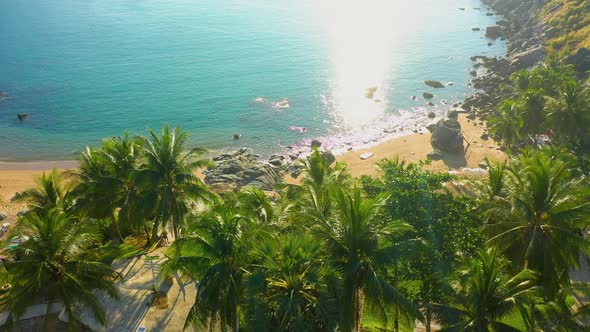 Aerial Drone View Above Tropical Palm Trees Nui Beach in Phuket Thailand