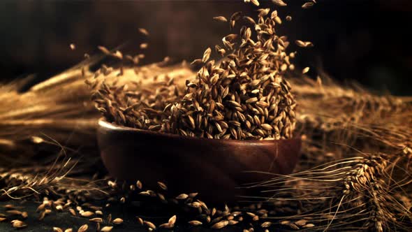 Super Slow Motion Plate of Barley Grains Falls on the Table