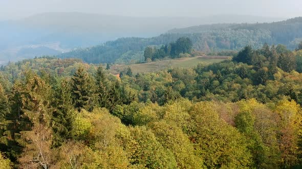 Aerial view of a wide forest landscape, Lautenbach, Germany