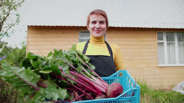 Farmer in Garden Holding in Hands Biological Organic Product of Beetroot