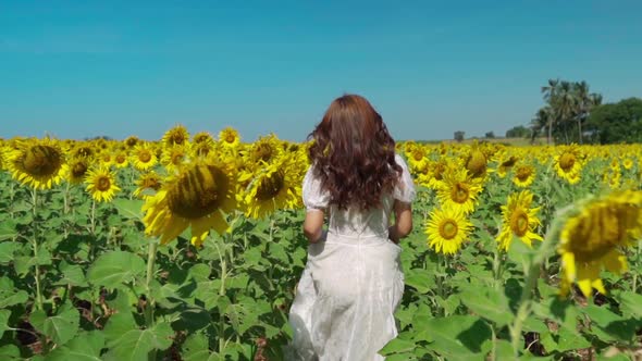 slow-motion of cheerful woman walking and enjoying with sunflower field