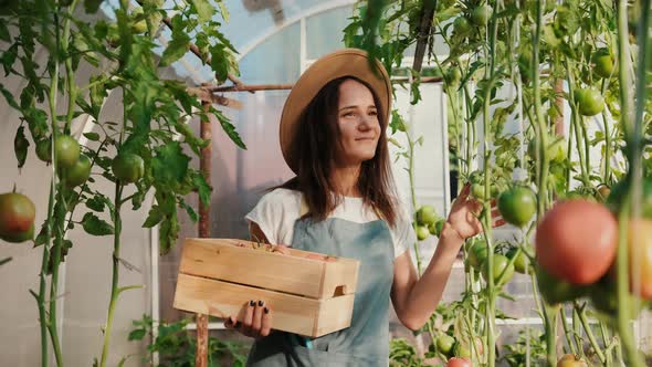 Cheerful Woman Farmer Holding a Box of Fresh Vegetables in a Greenhouse with Tomatoes Moving Forward