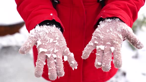 Close Up of Woman's Hands in Gloves with Snow