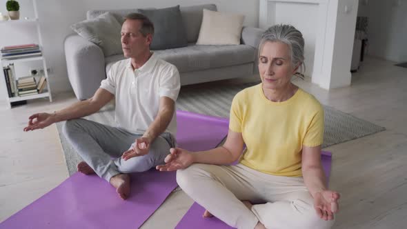 Healthy Old Couple Meditating at Home Learning Yoga Online Classes Tutorials