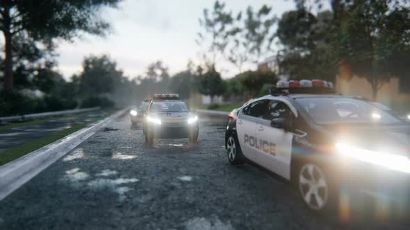 Police Cars