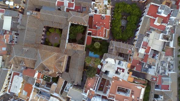 Rooftops and Streets of Seville