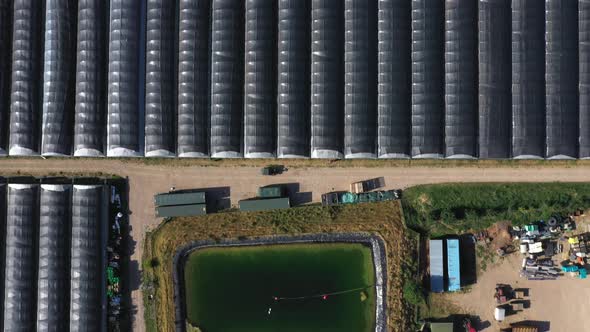 Top Down Aerial View of Green and Yellow Wheat Field Farm and Greenhouses