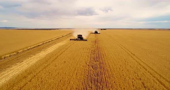 Two harvesters coming down the fence line in Australian wheat