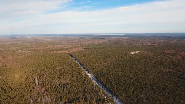 Winter Landscape with Forest.