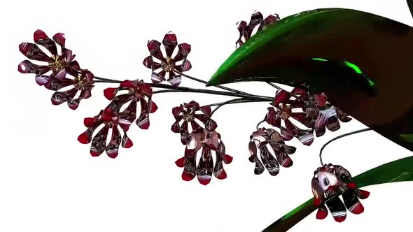Purple Bellflower Botanical 3D Rendering