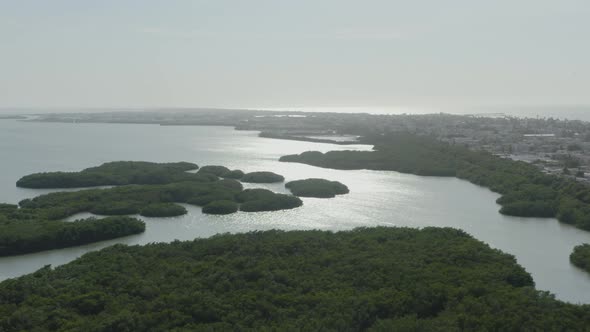 Aerial view over mangrove jungle in Yucatan Mexico near Puerto Progreso.