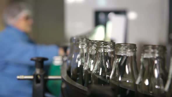 Conveyor with Clean Milk Bottles at Big Factory.