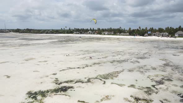 Zanzibar Tanzania  Kitesurfing Near the Shore Slow Motion