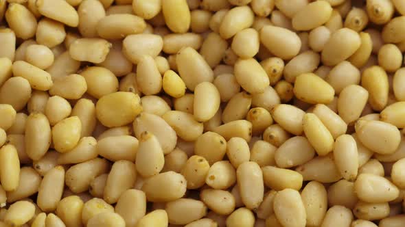 Pine Nuts Background. Unshelled Cedar Seeds, Closeup