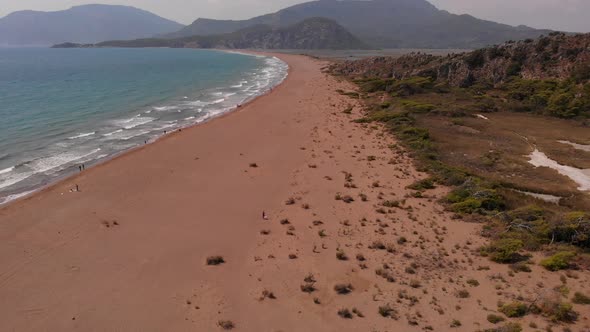 Aerial View of Istuzu Beach Spawning Site of Red Data Book Relict Loggerhead Turtles Caretta Caretta